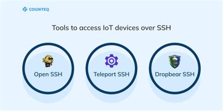 Connecting to Your Tiny Devices: An SSH Remote IoT Example for Everyone