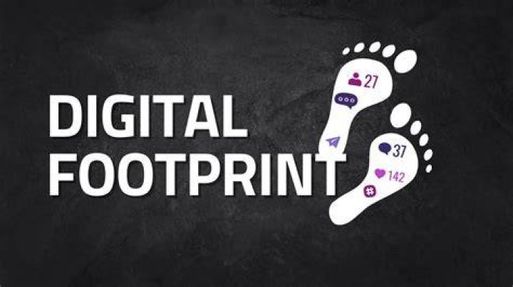 Exploring the Digital Footprint of xxnd: A Look at Online Presence and Community