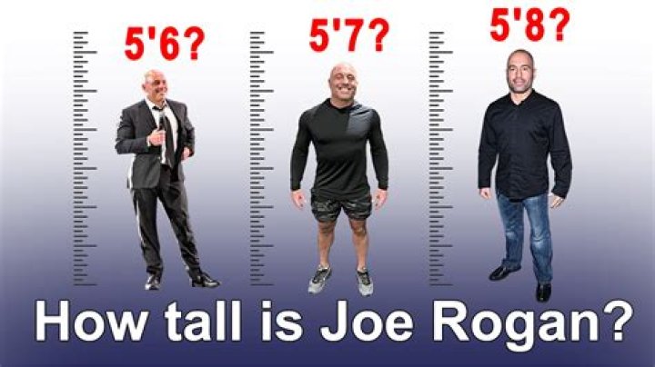 How Tall Is Joe Rogan