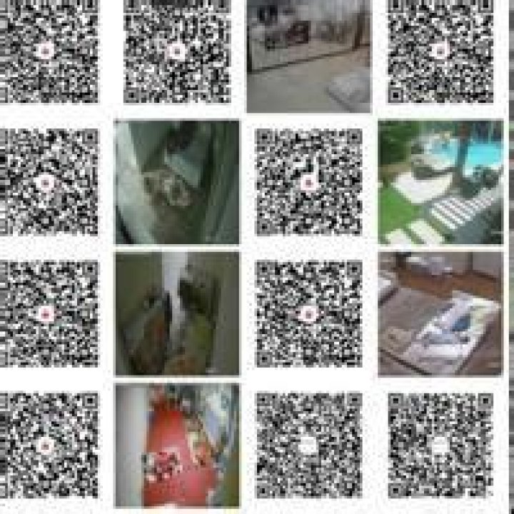 IP Cam QR Telegram: Easy Home Security Alerts for Today