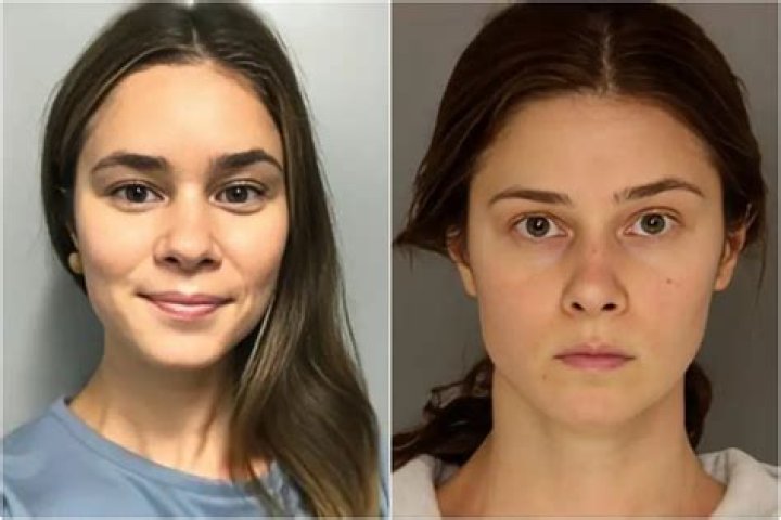 Nicole Virzi: The Current Status of Serious Charges