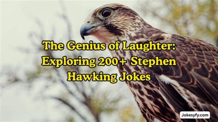 Offensive Jokes: Exploring the Edges of Laughter