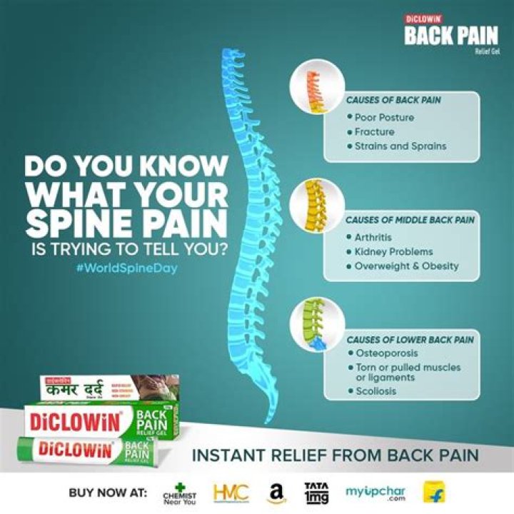 Understanding Back Shots for Pain Relief: What You Should Know