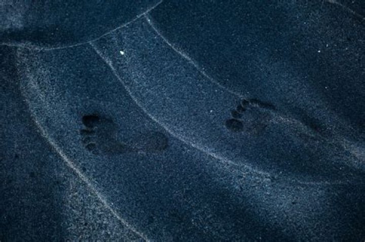 Unpacking the Digital Footprint: Who is Baby Nicols?