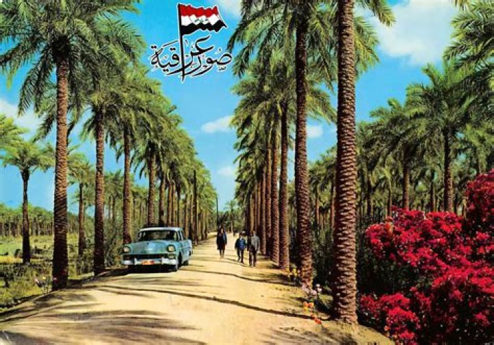 ما الذي يجعل عراقي سكسي؟ استكشاف سحر الثقافة والجمال في العراق
